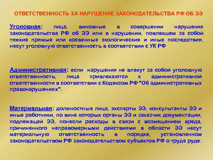 Презумпция экологической опасности хозяйственной деятельности. Ответственность за нарушение законодательства в области образования.