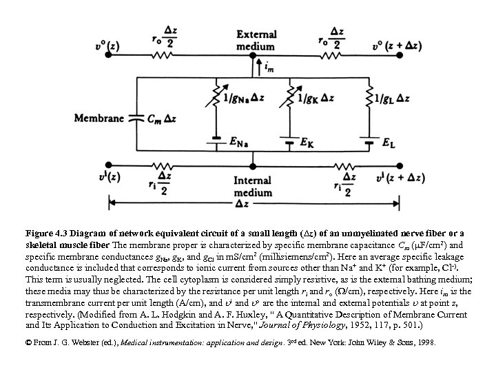 Figure 4. 3 Diagram of network equivalent circuit of a small length (Dz) of