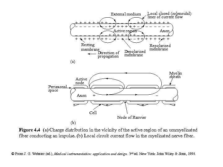 External medium Local closed (solenoidal) lines of current flow + + + - -