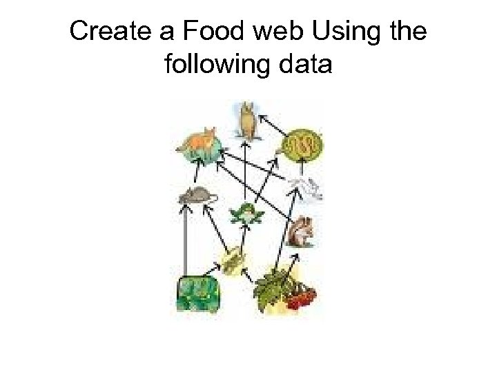 Create a Food web Using the following data 