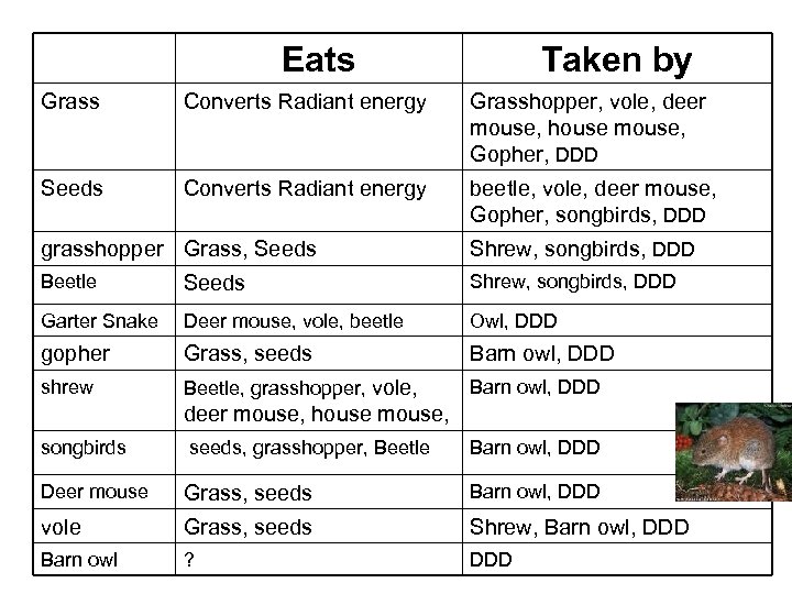 Eats Taken by Grass Converts Radiant energy Grasshopper, vole, deer mouse, house mouse, Gopher,