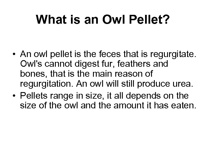 What is an Owl Pellet? • An owl pellet is the feces that is