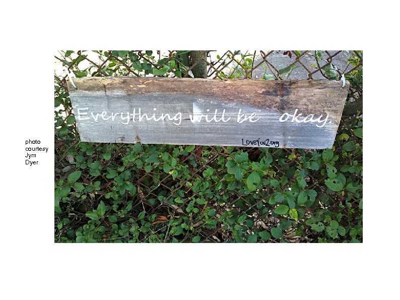 photo courtesy Jym Dyer 