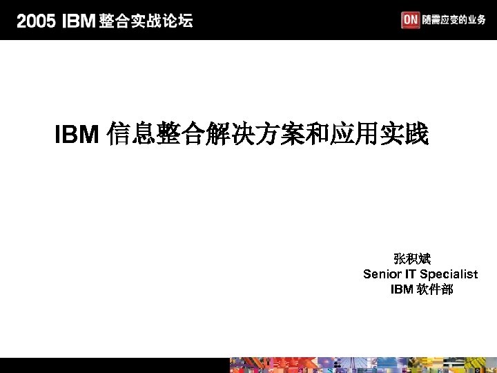 IBM 信息整合解决方案和应用实践 张积斌 Senior IT Specialist IBM 软件部 