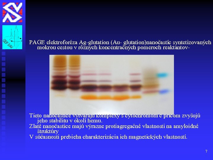 PAGE elektroforéza Ag-glutation (Au- glutation)nanočastíc syntetizovaných mokrou cestou v rôznych koncentračných pomeroch reaktantov- Tieto