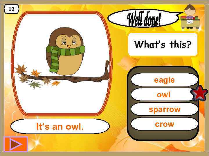 12 What’s this? eagle owl sparrow It’s an owl. crow 