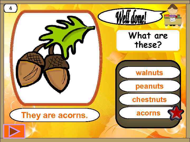 4 What are these? walnuts peanuts chestnuts They are acorns 