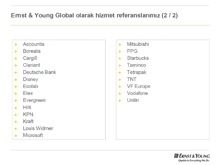 Ernst & Young Global olarak hizmet referanslarımız (2 / 2) 