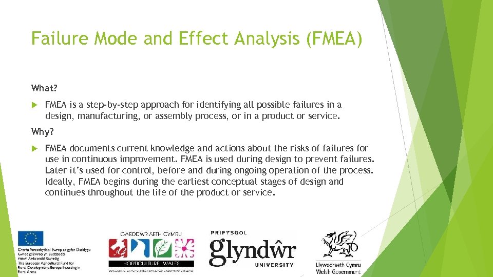 Failure Mode and Effect Analysis (FMEA) What? FMEA is a step-by-step approach for identifying