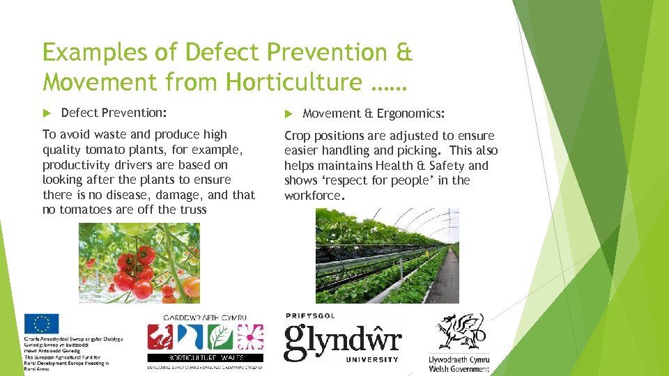 Examples of Defect Prevention & Movement from Horticulture …… Defect Prevention: To avoid waste