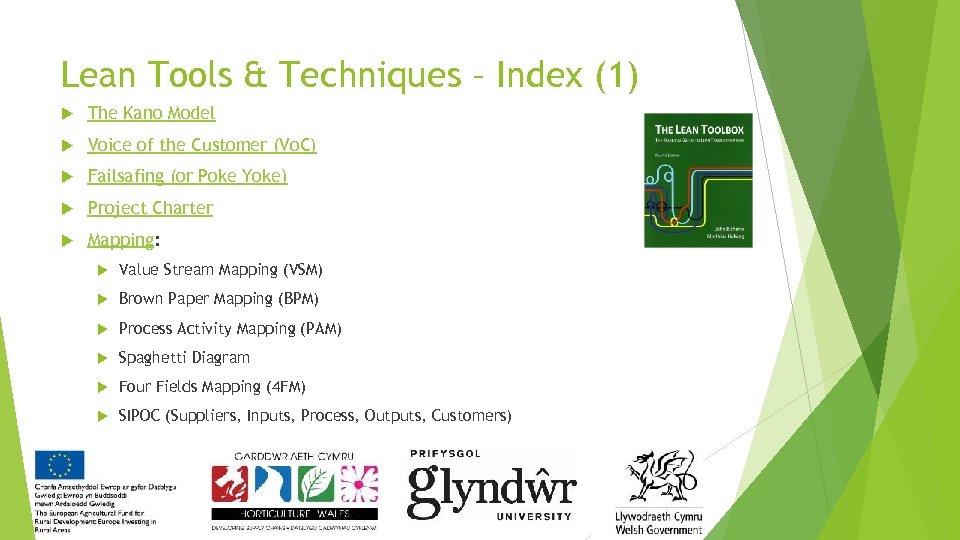 Lean Tools & Techniques – Index (1) The Kano Model Voice of the Customer