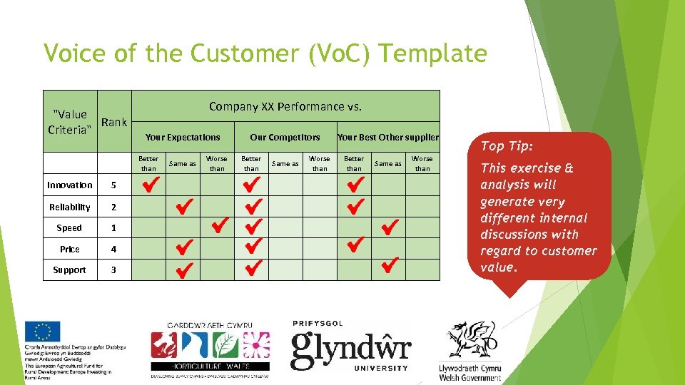 Voice of the Customer (Vo. C) Template 