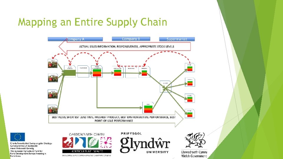 Mapping an Entire Supply Chain 