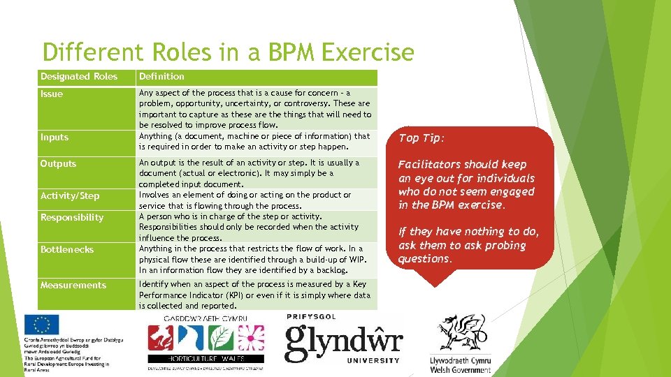 Different Roles in a BPM Exercise Designated Roles Definition Issue Any aspect of the