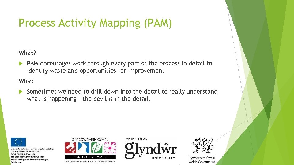 Process Activity Mapping (PAM) What? PAM encourages work through every part of the process