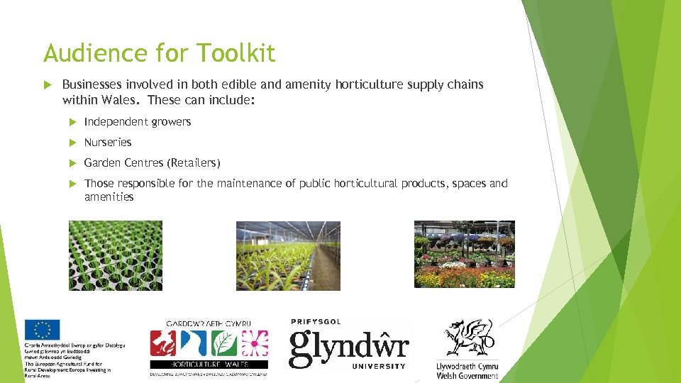 Audience for Toolkit Businesses involved in both edible and amenity horticulture supply chains within