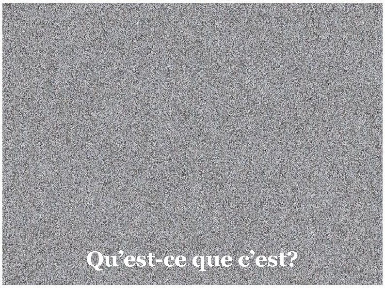 Qu’est-ce que c’est? 