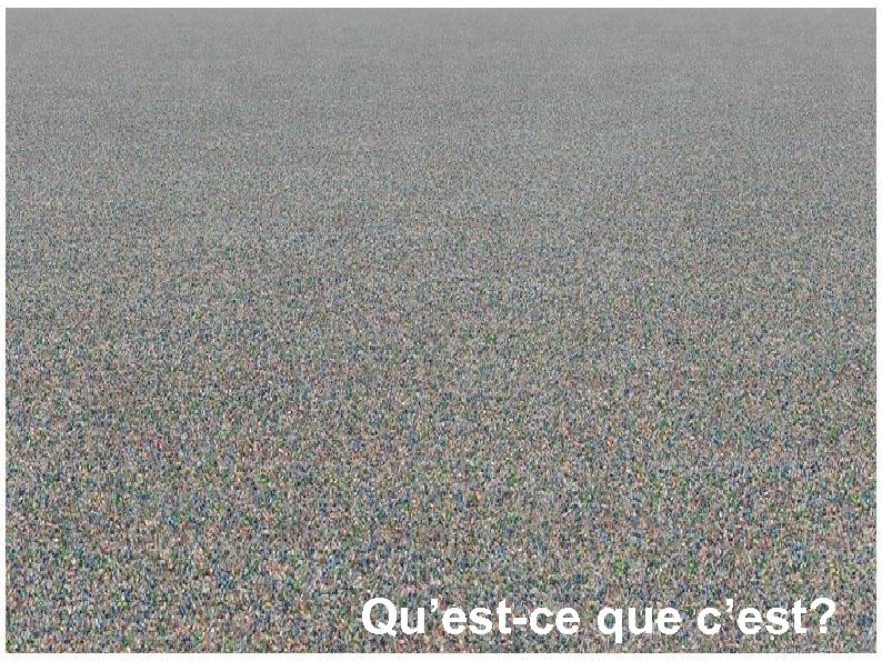 Qu’est-ce que c’est? 