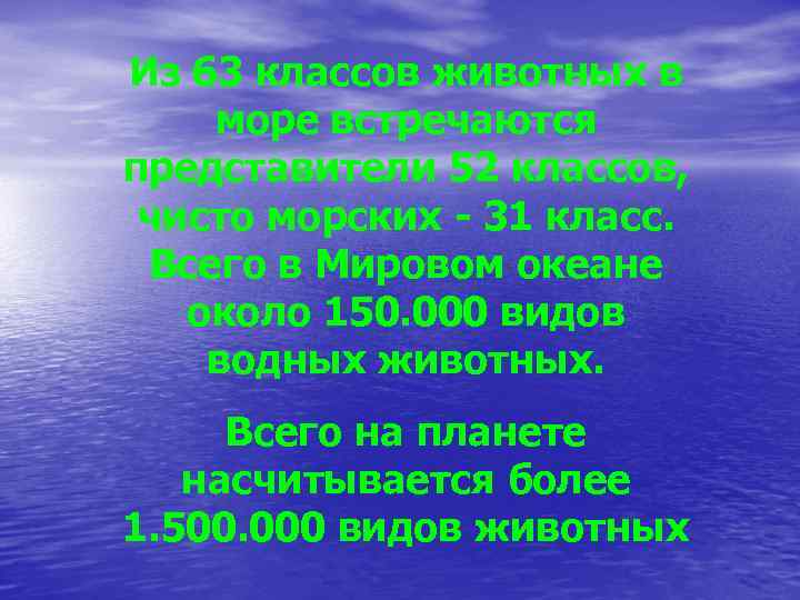 Из 63 классов животных в море встречаются представители 52 классов, чисто морских - 31