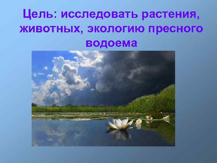 Цель: исследовать растения, животных, экологию пресного водоема 