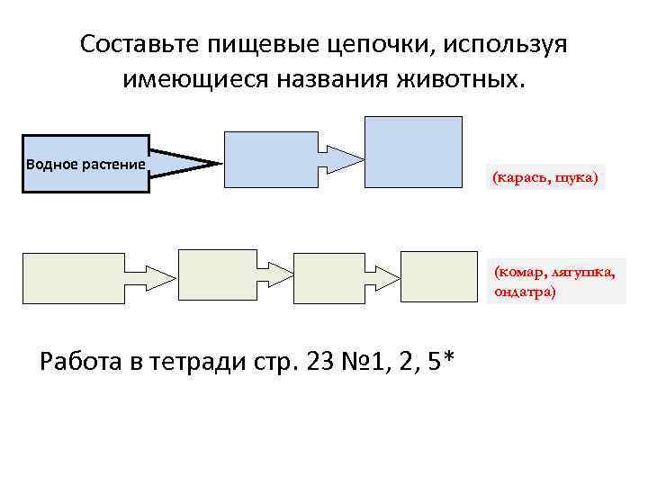 Составить пищевую цепь озера