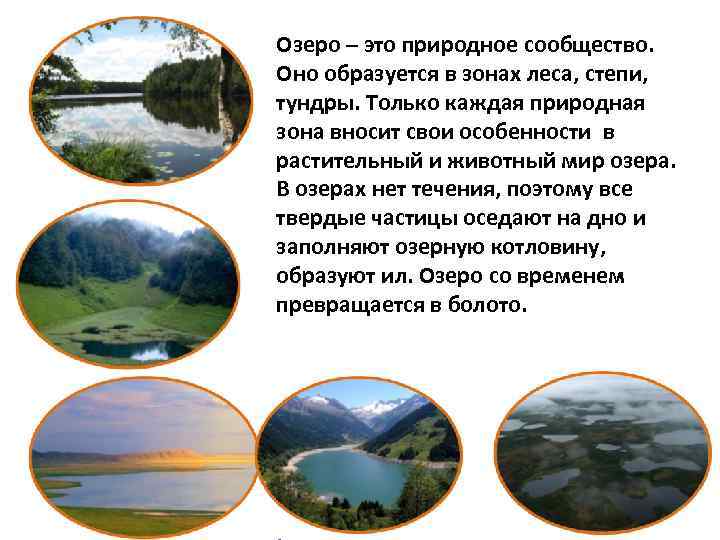 Озеро – это природное сообщество. Оно образуется в зонах леса, степи, тундры. Только каждая