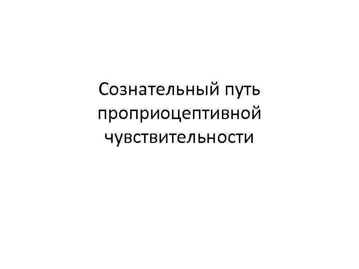 Сознательный путь проприоцептивной чувствительности 