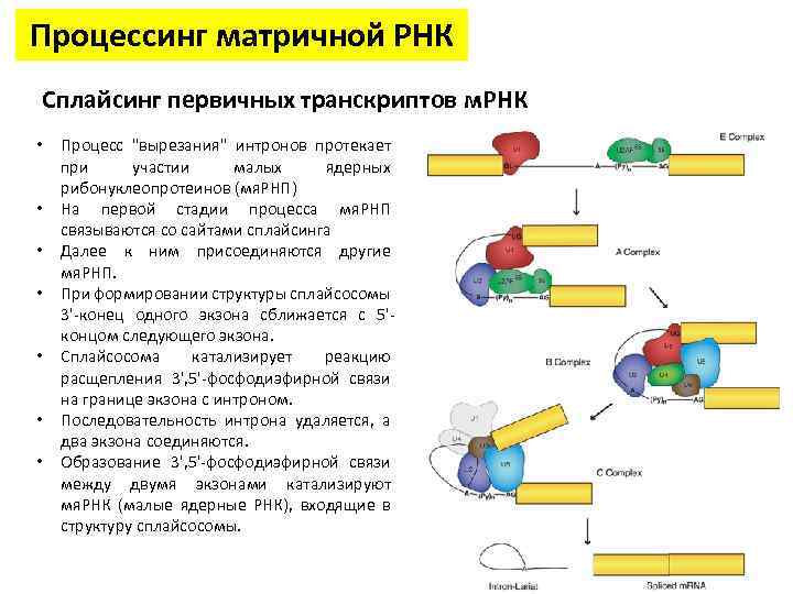 Процессинг осуществляется по схеме