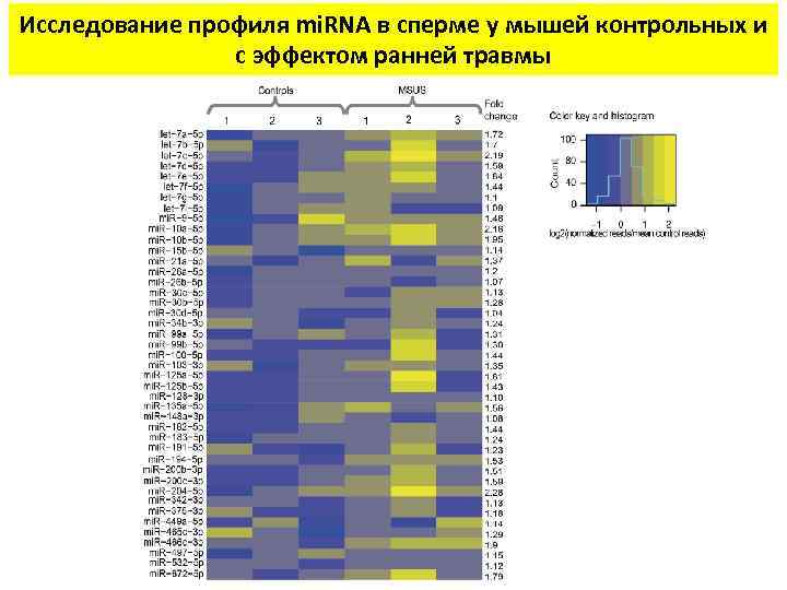 Исследование профиля mi. RNA в сперме у мышей контрольных и с эффектом ранней травмы