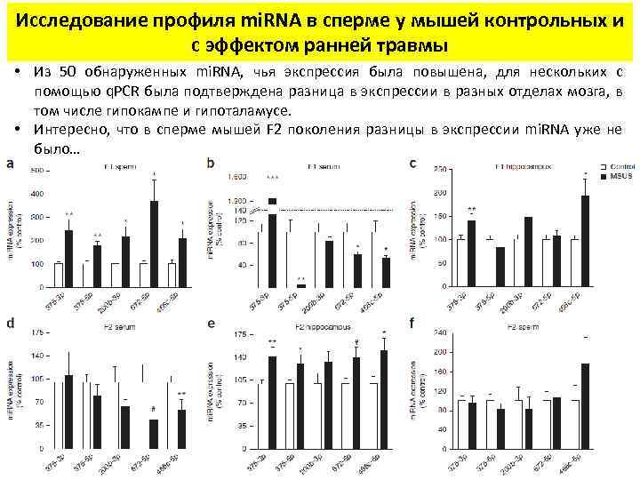 Исследование профиля mi. RNA в сперме у мышей контрольных и с эффектом ранней травмы