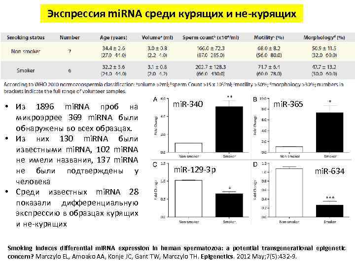 Экспрессия mi. RNA среди курящих и не-курящих • Из 1896 mi. RNA проб на