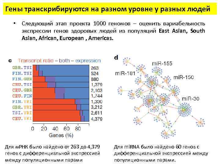 Проект 1000 геномов