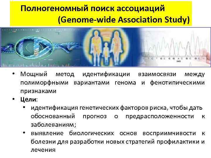  Полногеномный поиск ассоциаций (Genome-wide Association Study) • Мощный метод идентификации взаимосвязи между полиморфными