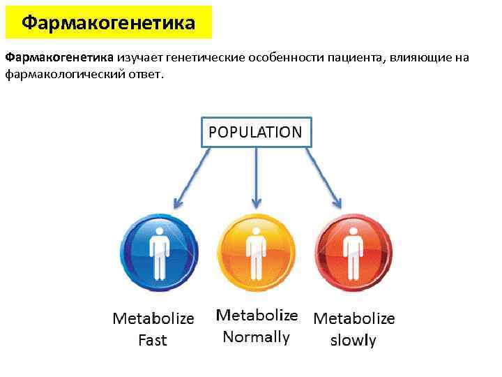 Фармакогенетика изучает генетические особенности пациента, влияющие на фармакологический ответ. 