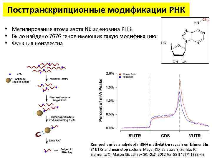 Процесс восстановления азота