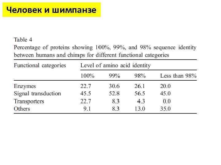 Человек и шимпанзе 