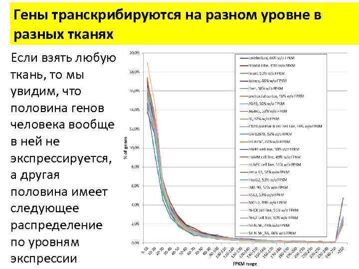 Гены транскрибируются на разном уровне в разных тканях Если взять любую ткань, то мы