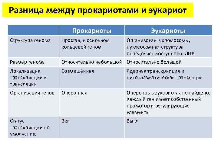 Урок организация генома у прокариот и эукариот