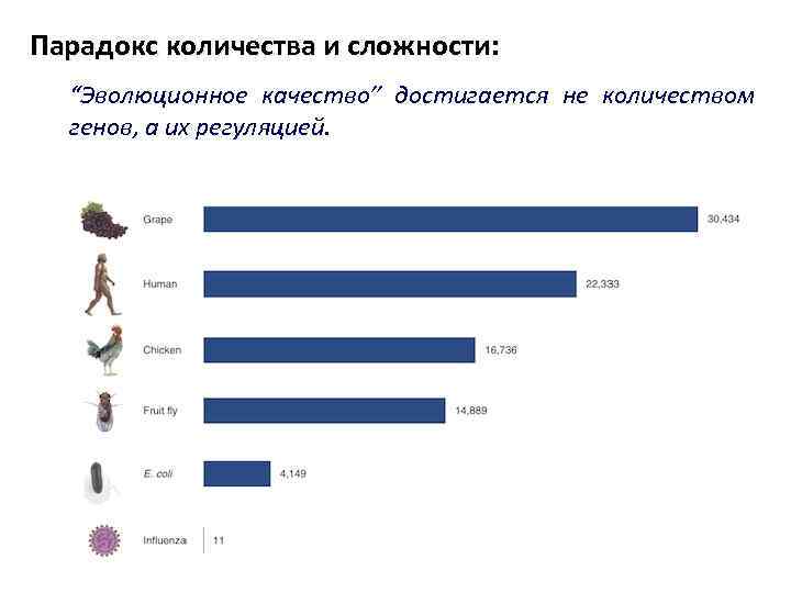 Парадокс количества и сложности: “Эволюционное качество” достигается не количеством генов, а их регуляцией. 