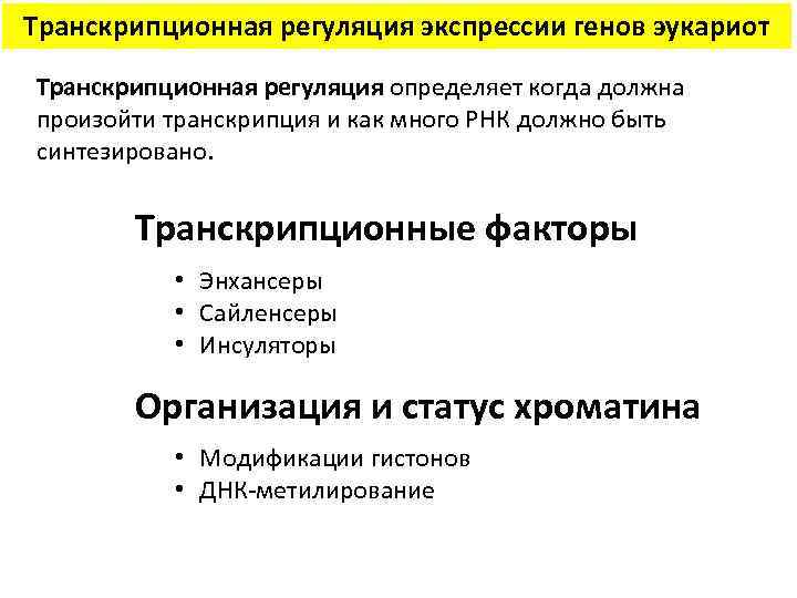 Транскрипционная регуляция экспрессии генов эукариот Транскрипционная регуляция определяет когда должна произойти транскрипция и как