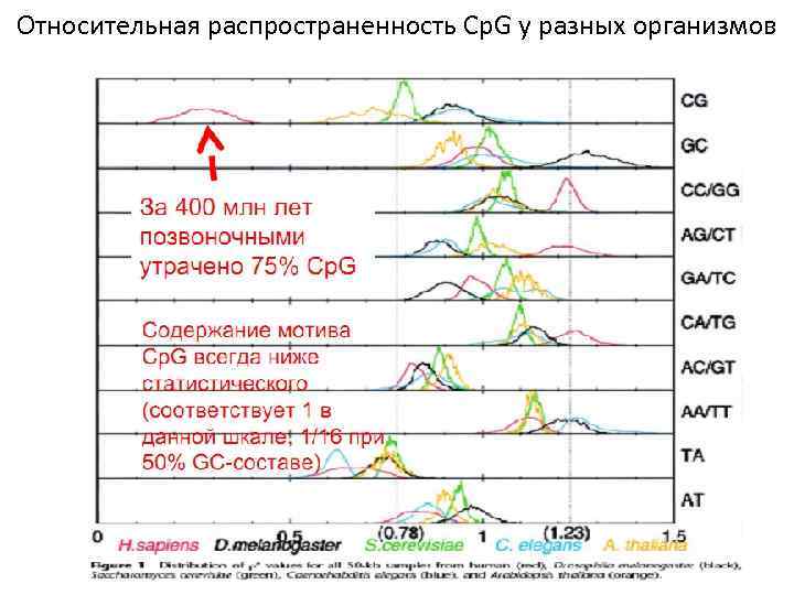 Относительная распространенность Cp. G у разных организмов 