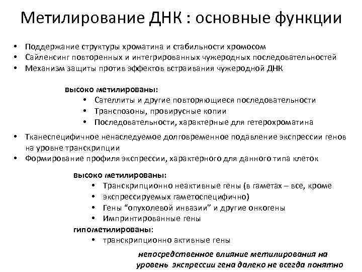 Метилирование ДНК : основные функции • Поддержание структуры хроматина и стабильности хромосом • Сайленсинг