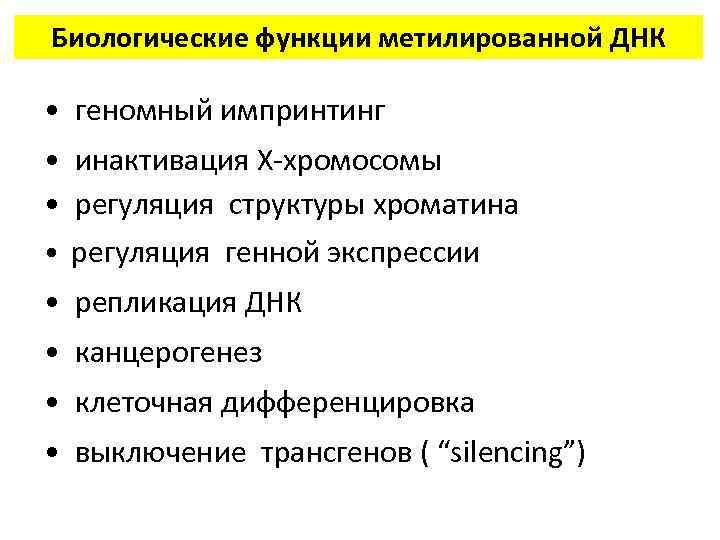 Биологические функции метилированной ДНК • геномный импринтинг • инактивация Х-хромосомы • регуляция структуры хроматина