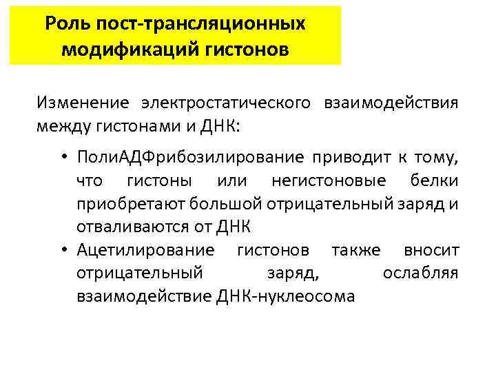 Роль пост-трансляционных модификаций гистонов Изменение электростатического взаимодействия между гистонами и ДНК: • Поли. АДФрибозилирование