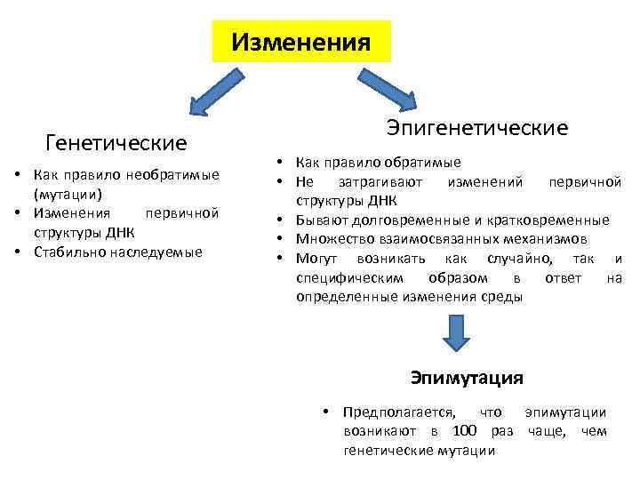 Изменения Генетические • Как правило необратимые (мутации) • Изменения первичной структуры ДНК • Стабильно