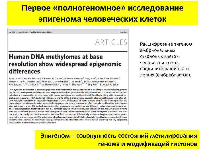 Первое «полногеномное» исследование эпигенома человеческих клеток Расшифрован эпигеном эмбриональных стволовых клеток человека и клеток