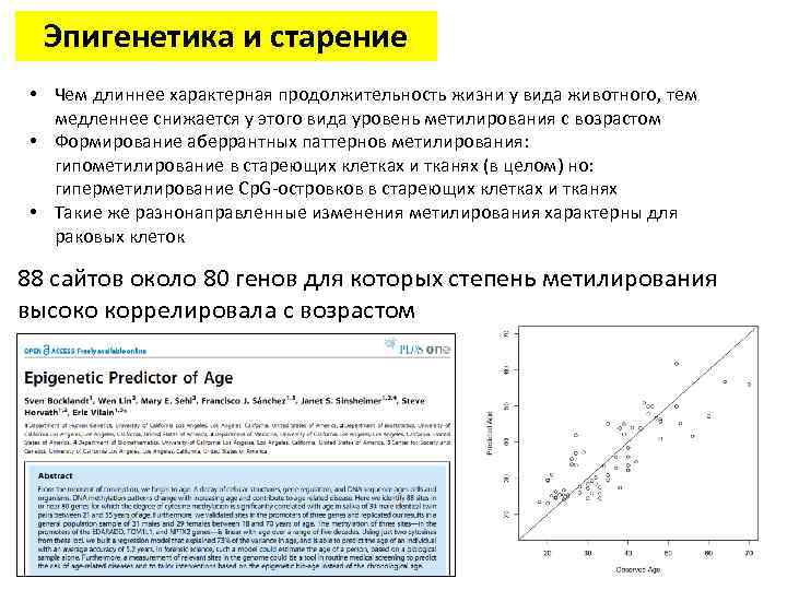 Эпигенетика и старение • Чем длиннее характерная продолжительность жизни у вида животного, тем медленнее