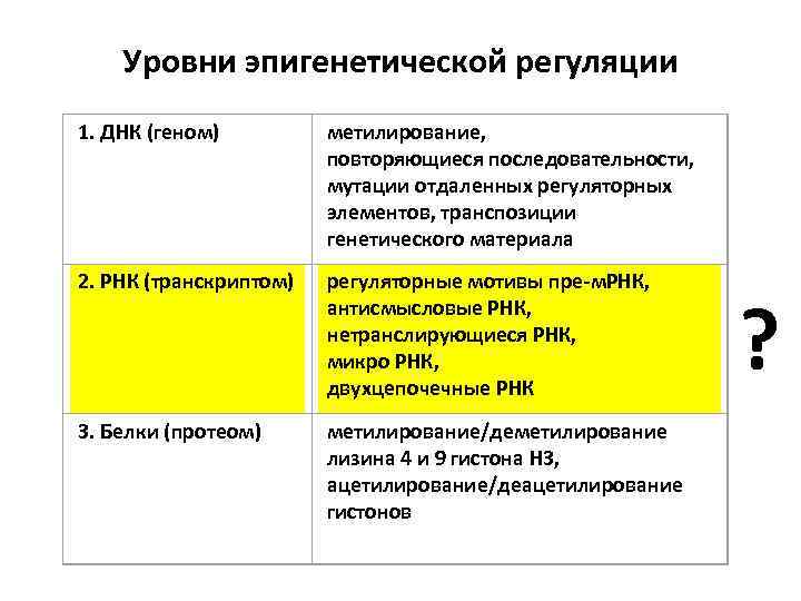  Уровни эпигенетической регуляции 1. ДНК (геном) 2. РНК (транскриптом) регуляторные мотивы пре-м. РНК,