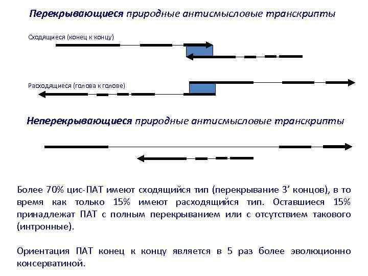 Перекрывающиеся природные антисмысловые транскрипты Сходящиеся (конец к концу) Расходящиеся (голова к голове) Неперекрывающиеся природные