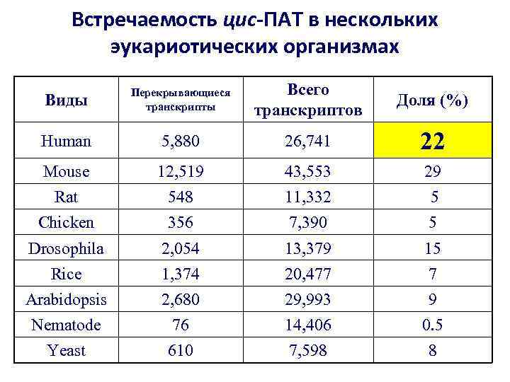 Встречаемость цис-ПАТ в нескольких эукариотических организмах Виды Перекрывающиеся транскрипты Всего транскриптов Доля (%) Human